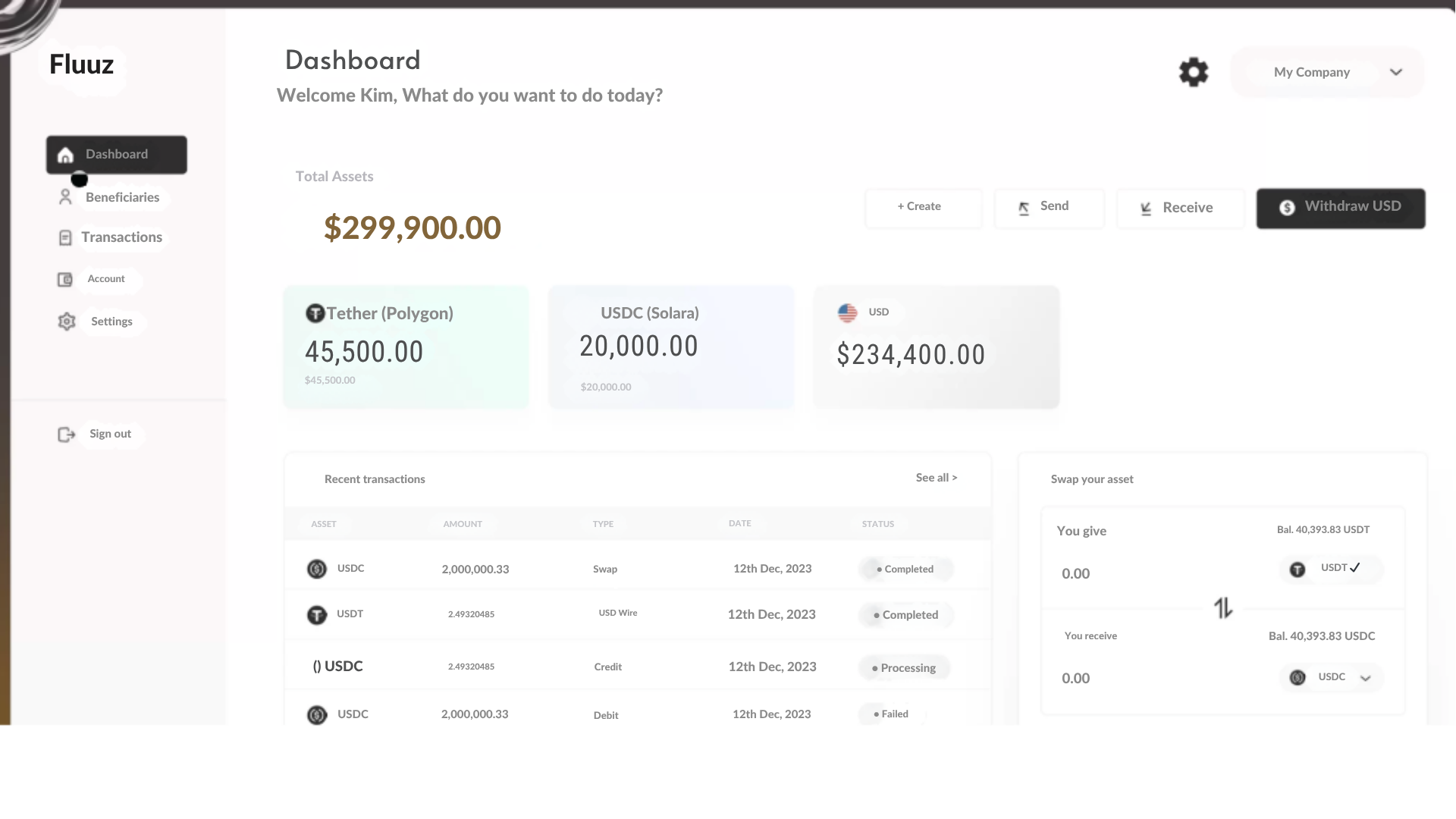 Fluuz Dashboard showing multi-currency accounts with USDT, USDC, and USD balances